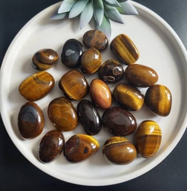 Tiger's Eye
